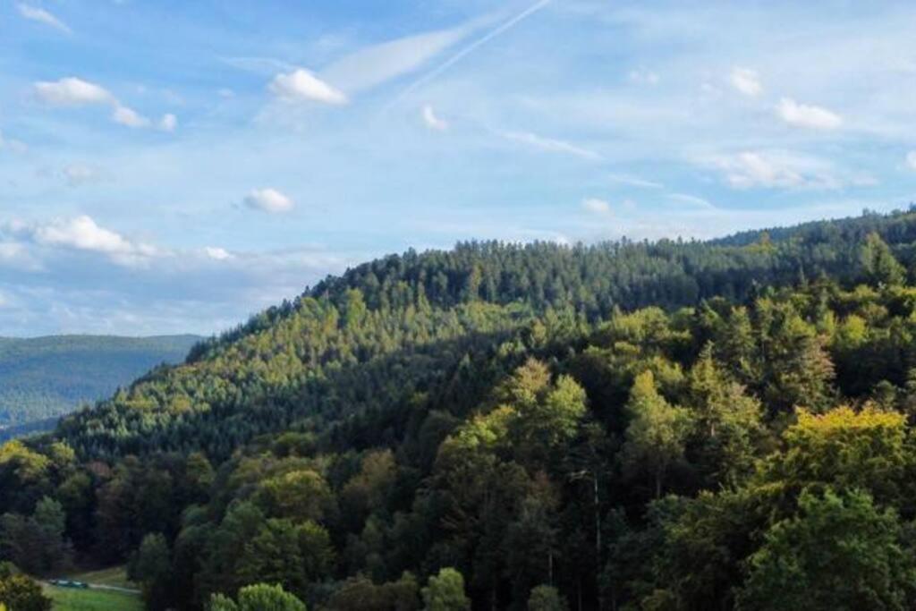 Wohnen Im Schwarzwald Mit Panoramablick Apartamento Bad Herrenalb Exterior foto